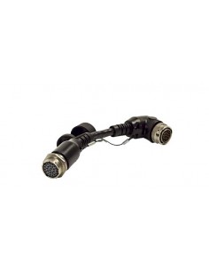 Extensie unghiulara |...