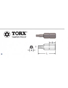 Biti de insurubare TORX...